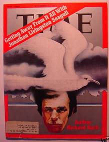 time-seagull